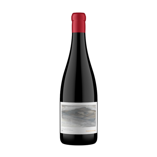 A bottle of Gabriëlskloof 'Syrah on Shale' Walker Bay red wine