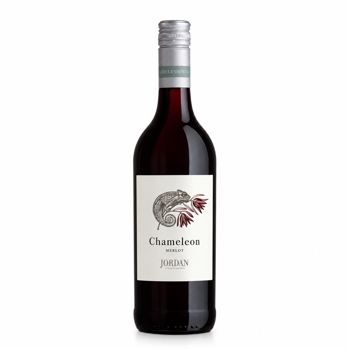 Jordan Chameleon Merlot