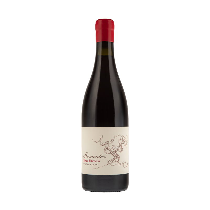 A bottle of Momento Tinta Barocca wine